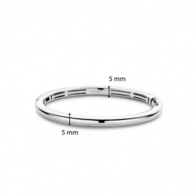 Bracelet jonc Ti Sento 23010SI